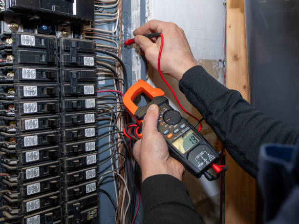 Best Electric Panel Repair  in La Porte, TX